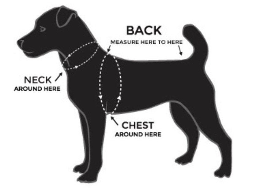 Diagram of a dog silhouette with measurement points labeled for neck, back and chest on a white background