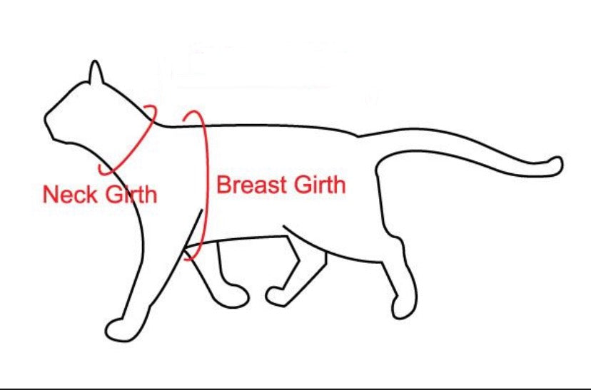 Diagram of a cat with labeled neck girth and breast girth on a white background