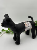 Black dog mannequin with a patterned belly band on a white background standing next to potted plant