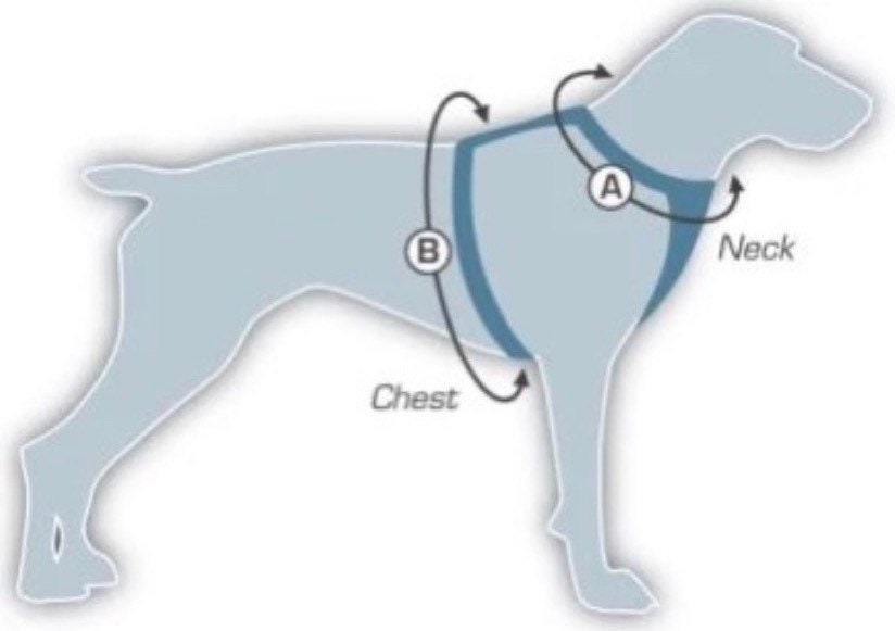 Diagram showing measurement points on a dog's neck and chest.