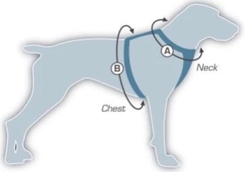 Diagram showing how to measure a dog's neck and chest for a collar or harness.