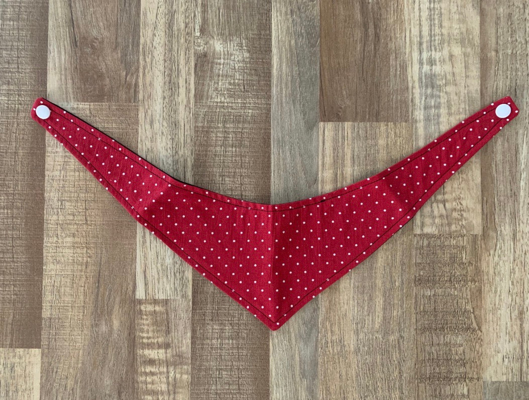 Red with white polka dot pet bandana on a wooden floor