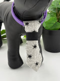 close up of Black dog mannequin with a spiderweb necktie on a white background with green potted plant