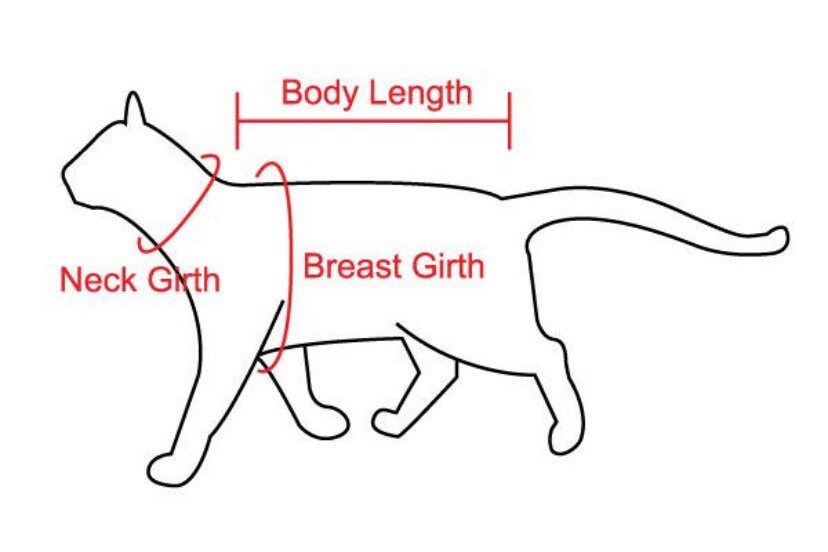 Diagram of a cat silhouette with measurement points labeled for body length, neck and breast girth on a white background