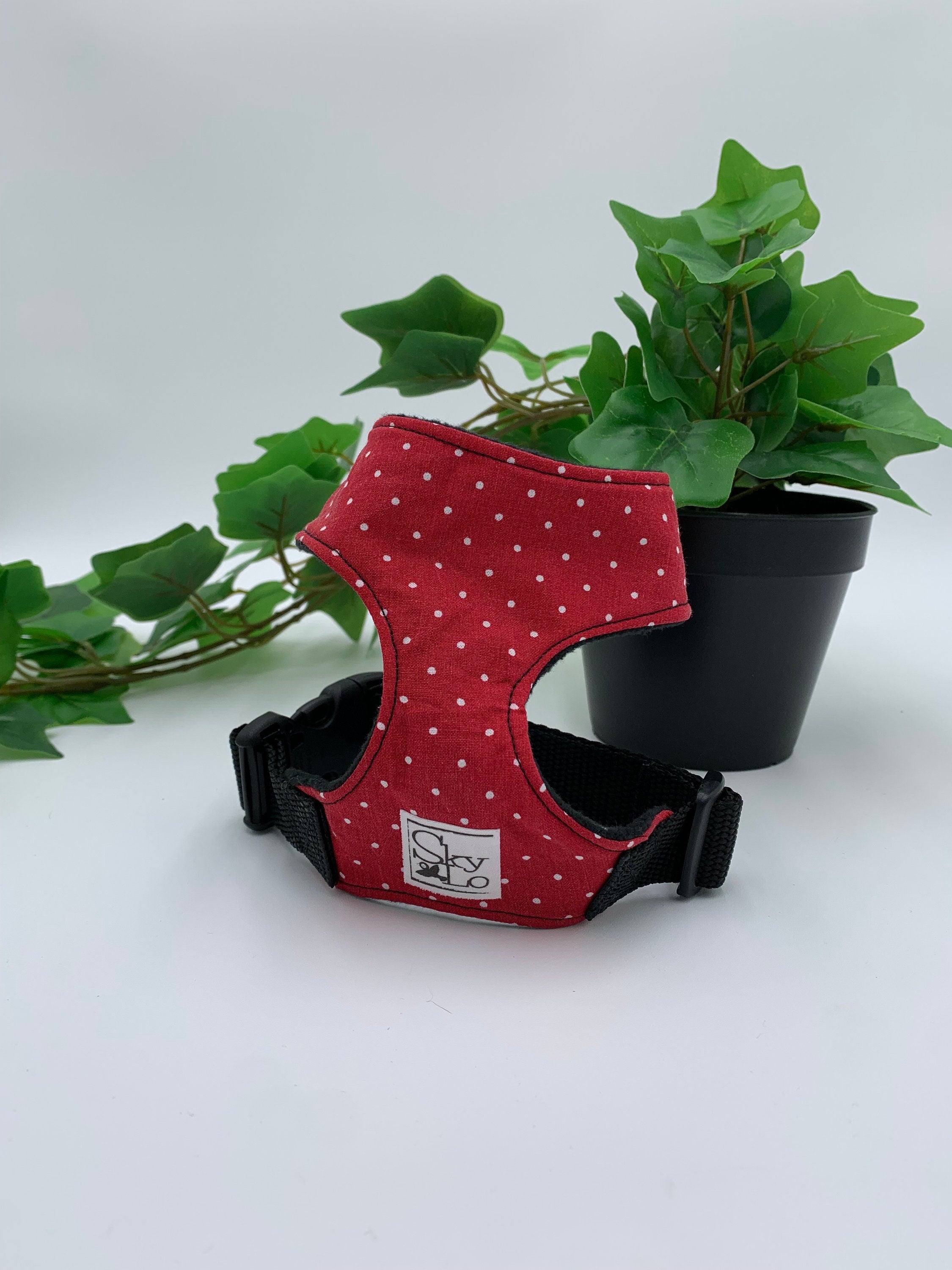 Red polka dot dog harness with a plant in the background