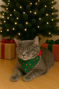 Cat wearing a green scrunchie bandana with red and yellow mini ornaments in front of a decorated Christmas tree and presents.
