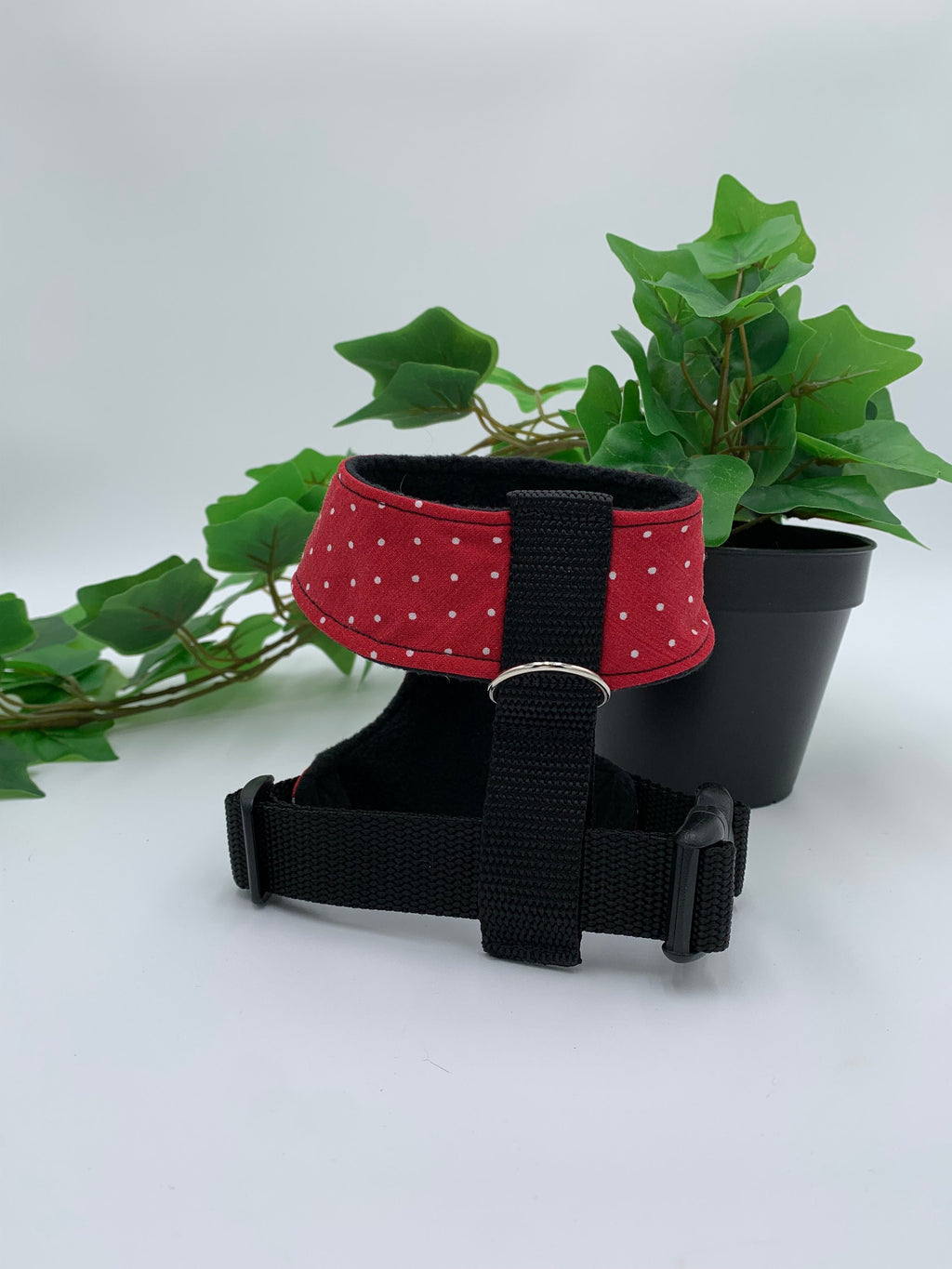 Top view of Red polka dot pet harness with a plant on a white background