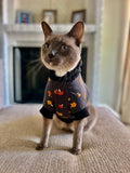 Cat wearing a mushroom patterned sweater sitting on a tan couch.